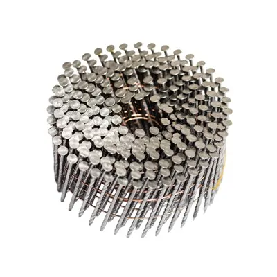 Paku Gulungan Celup Panas